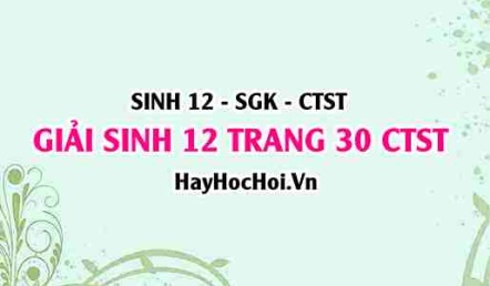 Giải Sinh 12 trang 30 Chân trời sáng tạo SGK